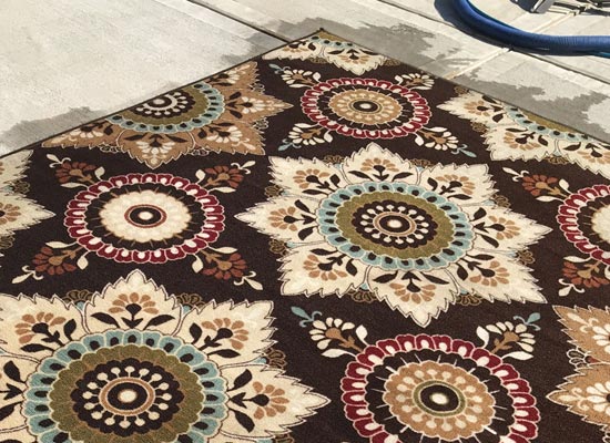 professional area rug cleaning